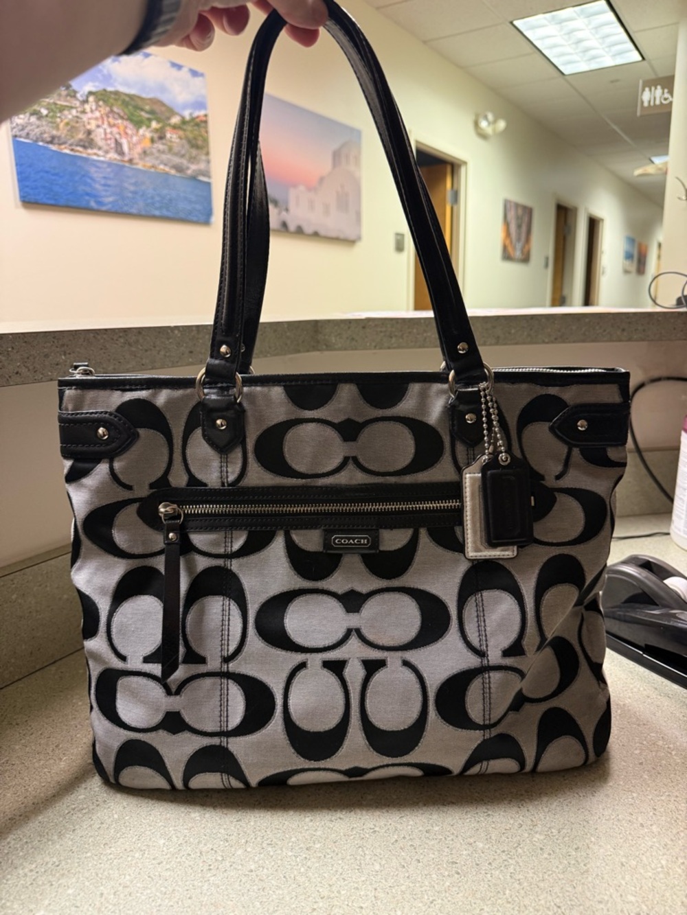 Coach Daisy Outline Signature Emma Tote Bag
